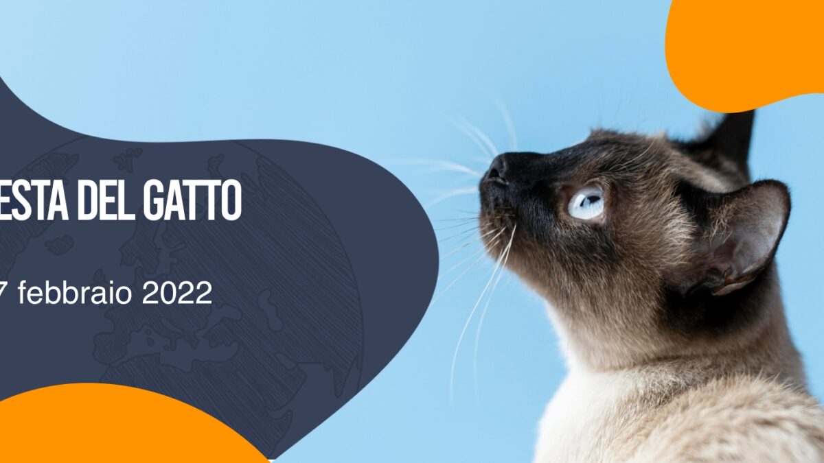 L'allergia al pelo del gatto: come si manifesta, sintomi e rimedi 