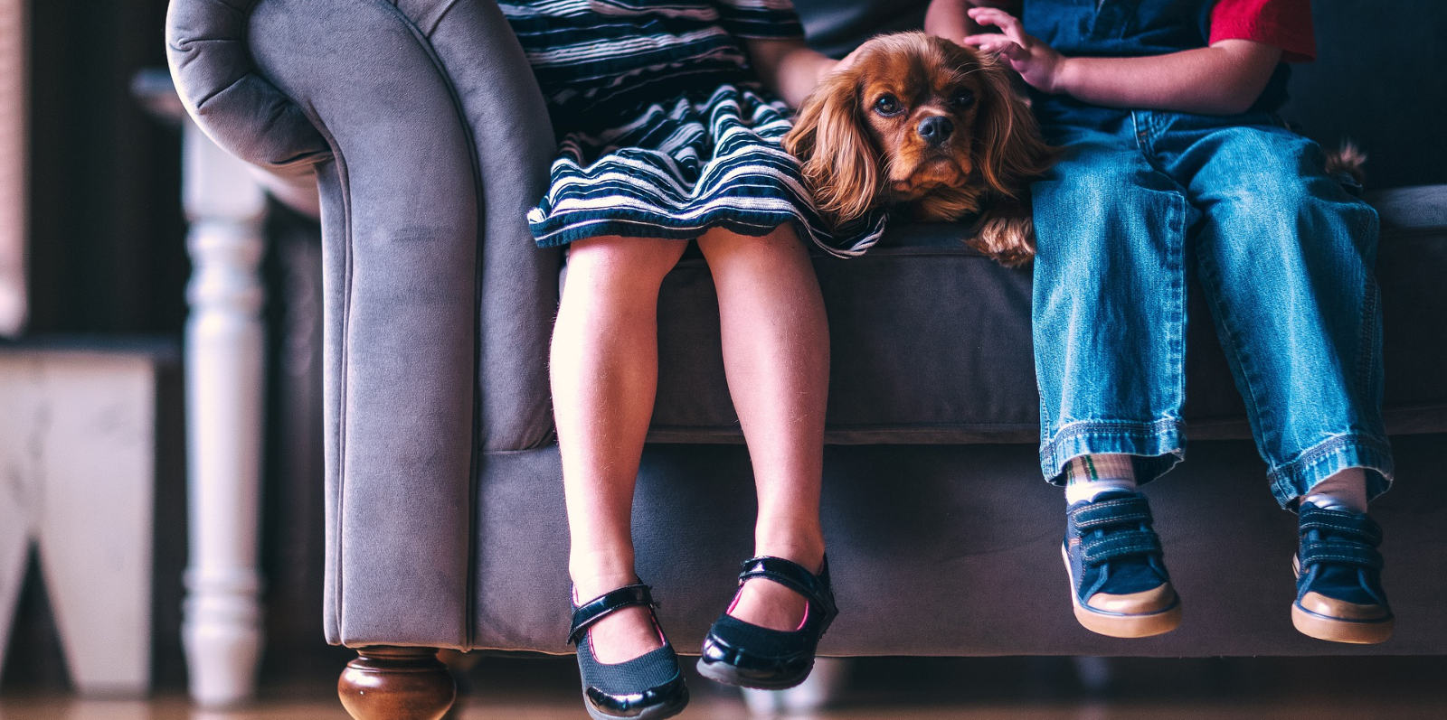 I benefici di cani e gatti sulla salute dei bambini