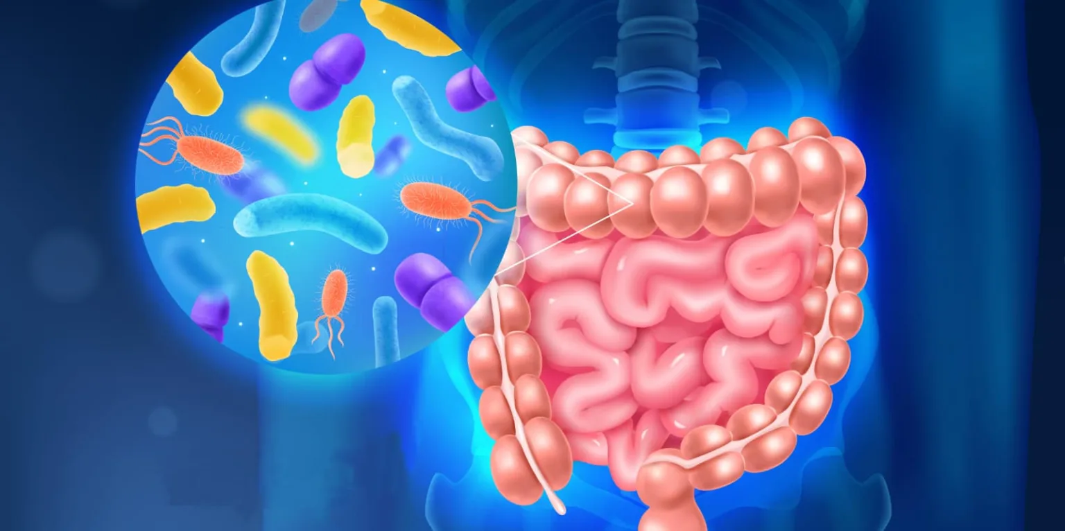 Intestino pigro? Ecco come regolarizzarlo