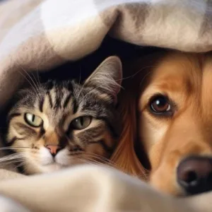 Quando i nostri amici animali ci aiutano a curarci: la pet therapy
