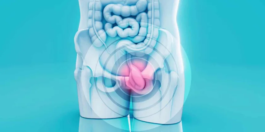 Prostatite: sintomi, cause e cure dell’infiammazione della prostata