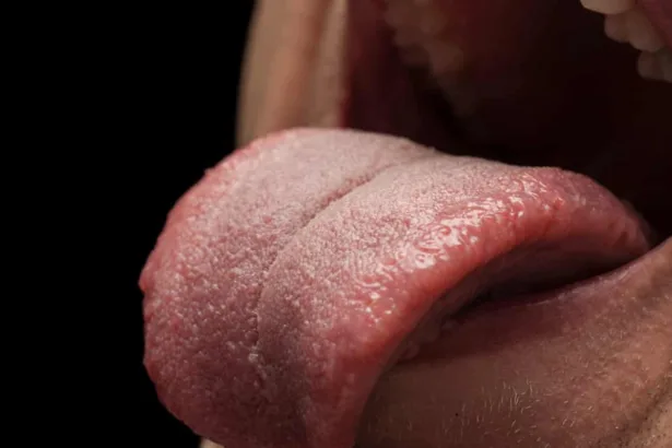 Lingua a cartina geografica: che cos’è e perché compare