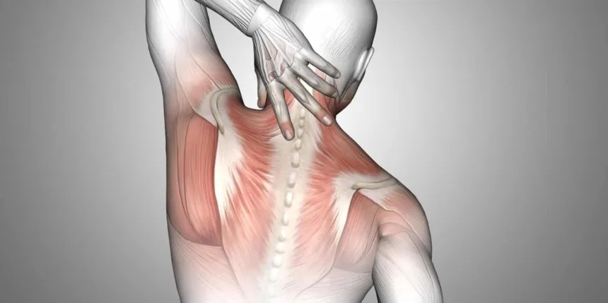 Stiramento muscolare; sintomi, cause e tempi di recupero