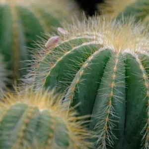 Dieta per emorroidi, alimenti da evitare e alimentazione utile per ridurre i sintomi