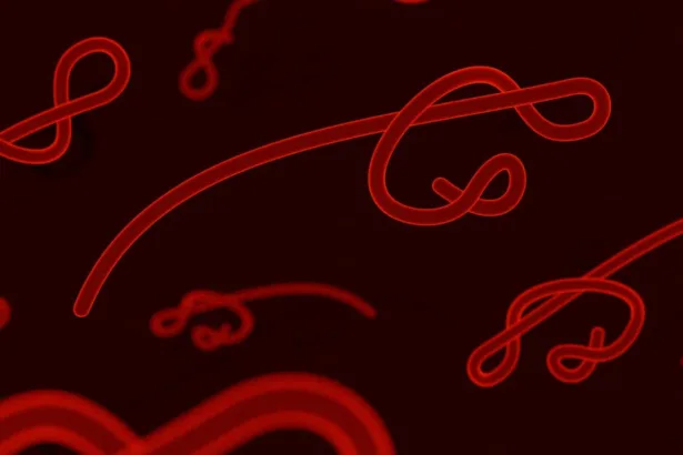 Che cos&rsquo;&egrave; il verme solitario e come possiamo prenderlo