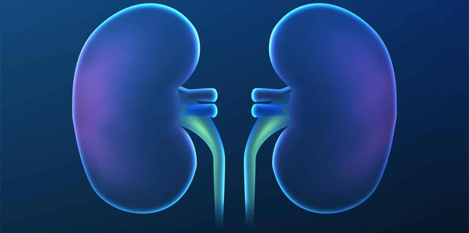 Reni e cambiamento climatico: esiste una correlazione?