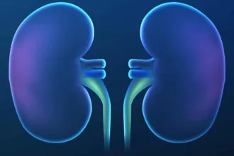 Reni e cambiamento climatico: esiste una correlazione?