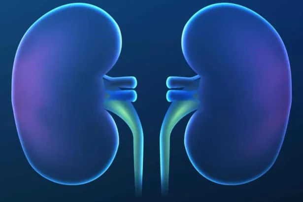 Reni e cambiamento climatico: esiste una correlazione?