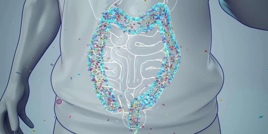 come-stimolare-le-feci/