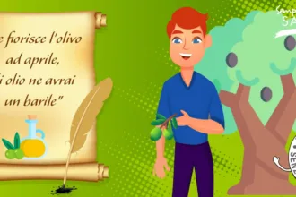 Se fiorisce l'olivo ad aprile, di olio ne avrai un barile