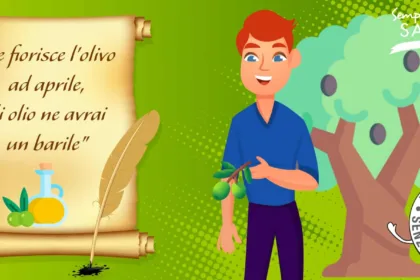 Se fiorisce l'olivo ad aprile, di olio ne avrai un barile